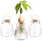 Hewory Propagation Station Geschenke für Frauen: 3 Pflanzen Terrarium Glas Avocado Vase für Deko Wohnzimmer - Hydrokultur Vasen Deko Klar Glasvase Modern Kleine Vasen für Tischdeko Esstisch