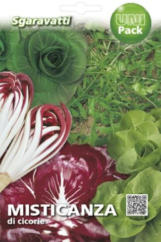 2000 SEMI MISTICANZA DI CICORIE MISTI SEMENTI CICORIA PROFESSIONALI SEEDS SEMILLAS