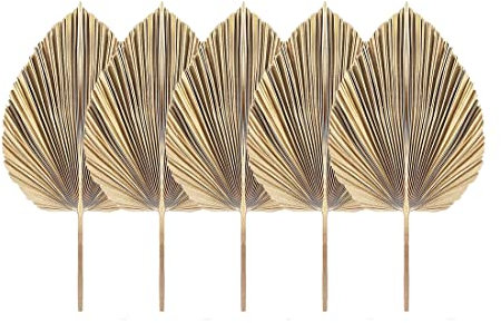 Wresetly Lot de 5 éventails en feuilles de palmier séchées naturelles, style bohémien, décoration de cuisine, mariage