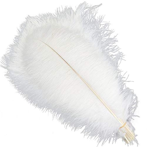 Sowder 5pcs Ostrich Feathers 16-18inch(40-45cm) Home Wedding Decoration(White)