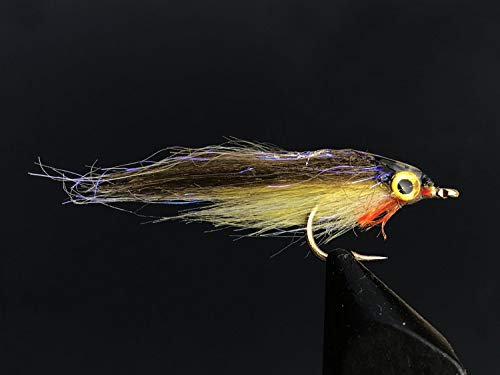 Tigofly 12 Stück Pink Olive UV Polar Fry langsam sinkende Lachs Forelle Steelhead Elritze Fliegenfischen Fliegenköder Fliegenset Größe #8 (Olivgrün)