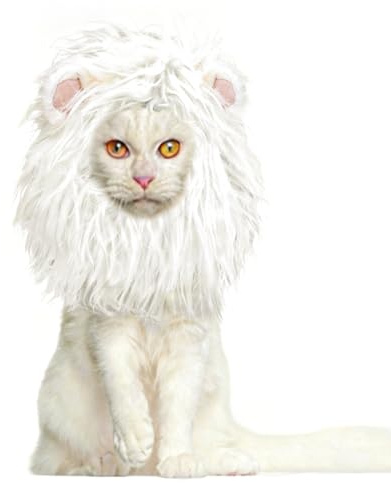 Onmygogo Parrucca da criniera di leone, per cani e gatti, divertente costume per animali domestici, per Halloween e Natale, accessori per abbigliamento peloso per animali domestici (S, bianco)