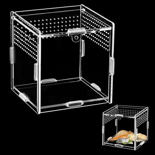 Acryl Terrarium (10cm*10cm*10cm) - Mini Fütterungsbox für Springspinnen, Schnecken, Eidechsen, Käfer und Andere Reptilien