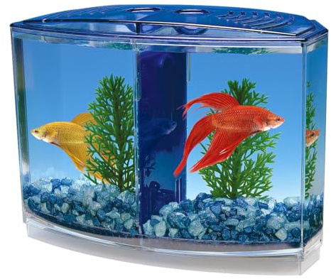 Penn-Plax Twin Betta Bow-Front Kit for Aquarium Blue, Green, Tank is 7.5 Across The Front, 6 Across The Back