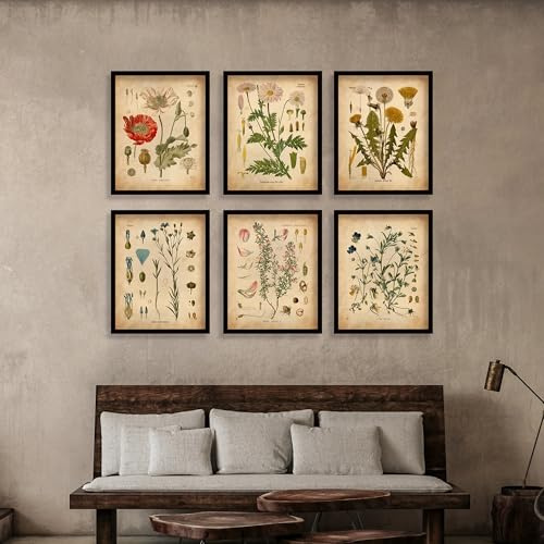 GLWDME Set di 6 quadri da parete vintage con motivo botanico e fiori selvatici, 30 x 40 cm, stampe su tela e poster, immagini da parete per soggiorno e camera da letto (senza cornice)