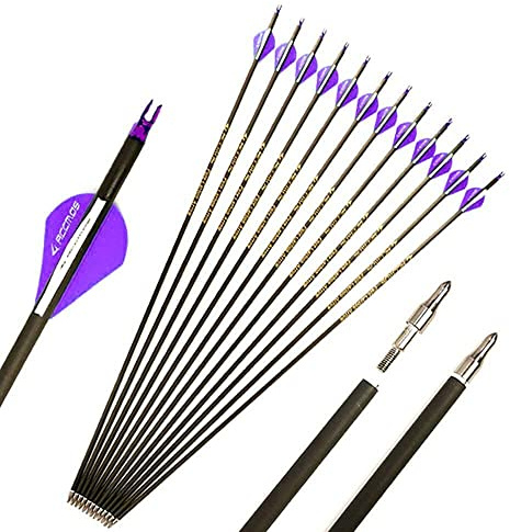 ACCMOS 500 Spine Flèche 28 Pouces Flèche Flèches Carbone Flèche Cible Flèche de Chasse Arc à Poulies Arc Recurve Adulte Jeunesse Tir à l’Arc Entraînement 12pcs Violet