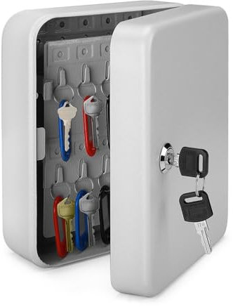 Flexzion Key Cabinet Key Lock Box Wall Mount with 40 Key Holder Organizer Locker Case, Colored Key Tags & Hooks Wall Mounted Lock Box for Keys Storage, Homes, Property, Hotels, Business (Gray)