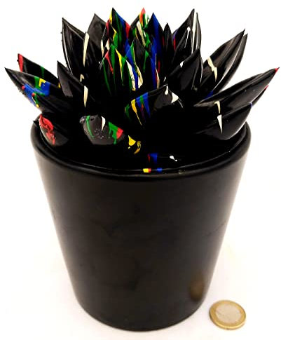 POWERS TO FLOWERS - ECHEVERIA PICASSO BLACK, VASO 13CM, CACTUS COLOR LIFE, pianta vera