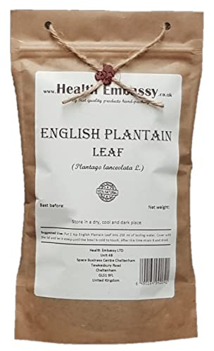 Health Embassy Feuille de Plantain Lancéolé Tisane | Plantago Lanceolata L | English Plantain Leaf (100g)