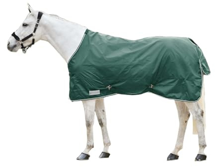 WALDHAUSEN Couverture de pluie économique vert sapin 165 cm