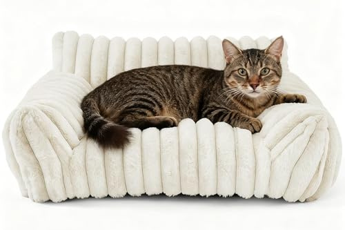 Tutamaz Kattsoffa, säng, kattsäng, 60 x 45 x 20 cm, kattsängar för huskatter, mjuk och fluffig, liten hundsoffa, kattsoffa, tvättbart överdrag, halkskydd, hundsäng, soffa för hundar (vit)