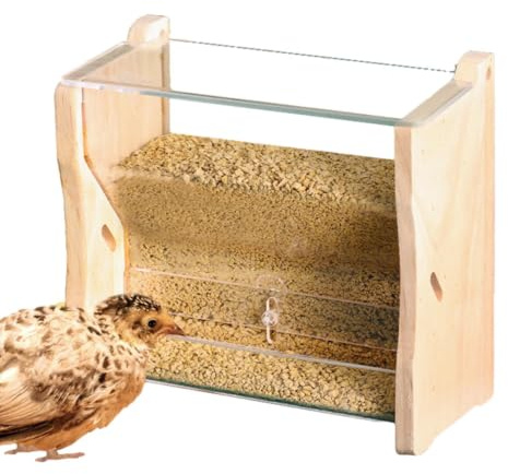 Alimentador de agua para codornices,Alimentador de codornices Taza de alimentación