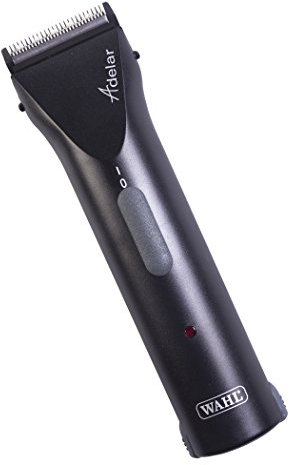 WAHL 5037127014592 Adelar Kabelloser Pferdehaartrimmer