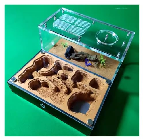 YTBHSHXZ, Ant Farm Nest Ant Farm Ant House For Ant Farm Study Of Ant Behavior Ant Nest Ant Terrarium Educational Formicarium Ant House