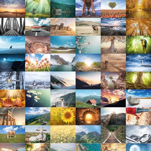 Bear and Bee 64 Postkarten – Natur, Tiere & Landschaftsfreude Große Mischung von Postkarten Postcrossing