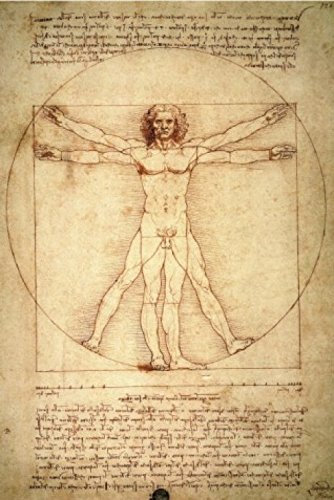 1art1 Leonardo Da Vinci Vitruvianischer Mensch, Circa 1490 Selbstklebende Fototapete Poster-Tapete 180x120 cm