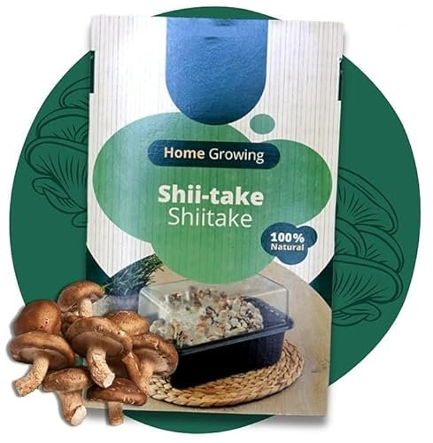Carbeth Plants - Mushroom Growing Kit Shiitake - Grow Your Own Beginner Friendly Mushroom Educational Kit - Easy to Use Gardening Gift - Ready to Grow Tasty Produce for Cooking