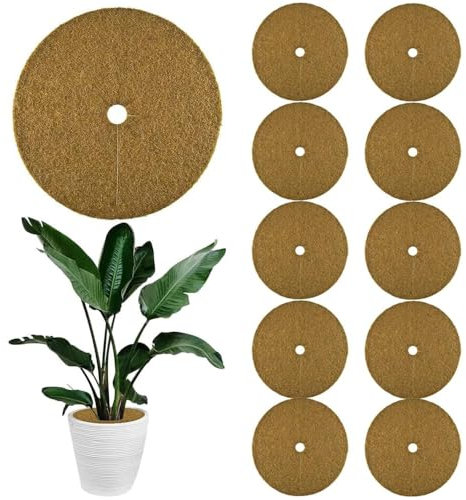 ZDQC Lot de 10 disques de paillage en coco - Diamètre 35 cm - Couvercle de pot en coco - Protection hivernale pour plantes en pot - Fibre de coco - Protection hivernale - Protection hivernale - 35 cm