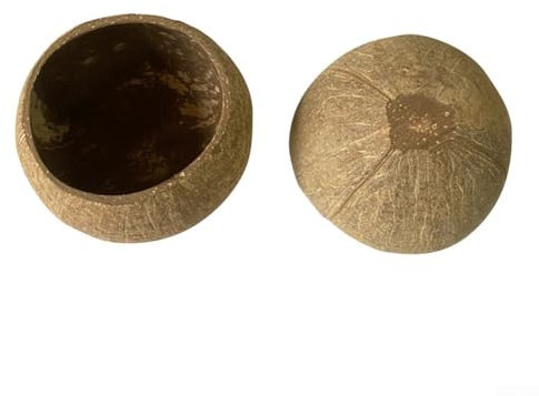 Cuenco ecológico hecho a mano con cáscara de coco perfecto para velas o exhibición de frutas (concha primitiva)