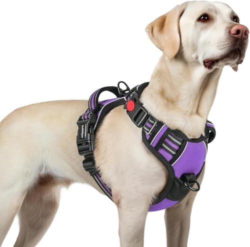 Fokroin Arnés antitirones para Perros, Chaleco Acolchado Ajustable, Arnés sin tensión para Perros Grandes y Pequeños, Practicar Deporte y Correr