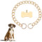 AHANDMAKER 50 cm Goldkette Hundehalsband, Luxuriöses Hundehalsband Mit Kubanischer Kette Und Knochenförmiger Goldener Hundemarke, Für XSmall, Klein, Mittel, Und Große Hunde
