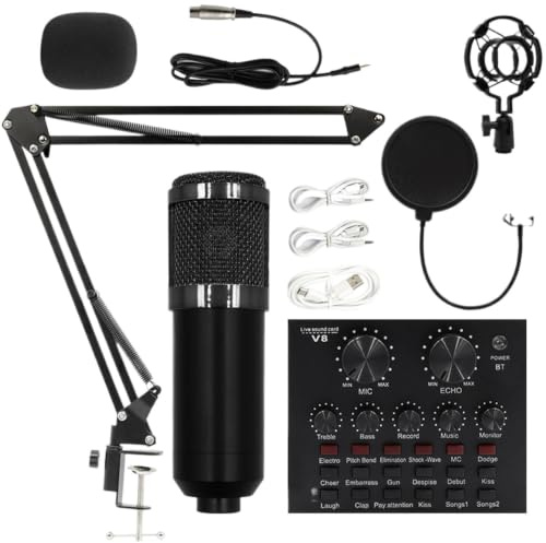 Generico Set microfono a condensatore | Buon set di microfoni a condensatore multiuso | Forniture per studi di registrazione, kit di streaming live intuitivo | per conduttori, cantanti