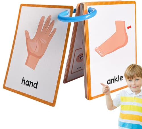 Partes del cuerpo Tarjetas Flash Aprendizaje Inglés - Tarjeta de estudio de bolsillo, ayuda visual de vocabulario, herramienta de enseñanza de doble cara, recurso educativo de aprendizaje temprano |