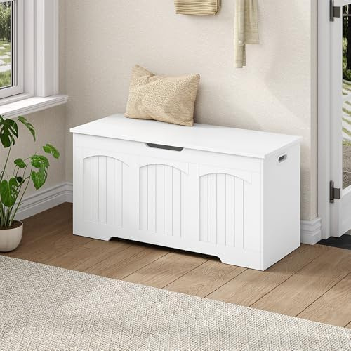Fobyfurny Banc Coffre de Rangement, 100 x 40 x 48 cm, Blanc