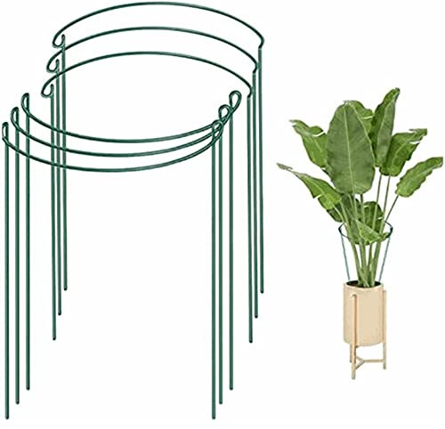 Pflanzenstütze Ringkäfige 6 Stück Pflanzenstütze Rund Garten Pflanzenpfähle Metall 25 x 40 cm Halbrunde Rankhilfe Blumenstütze Staudenhalter Stützring für Pflanzen Blume Monstera Hortensien (3 Paar)