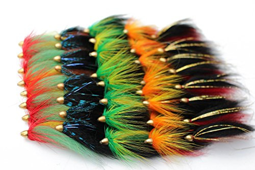 Tigofly 40pcs Cone Head Tube Streamer Fly Set - 5 Patterns for Salmon, Trout & Steelhead