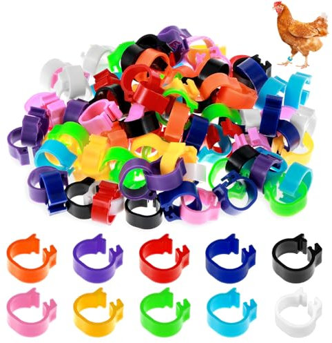 Tyqour 10mm 100 Stück Geflügel Fußringe mit Bunter, 10 Farben Klein Geflügel Band Hühnerringe Brieftaubenfußring Taubenring Fußring zum Markierung für Vogel, Papagei, Taube, Wachtel, Küken