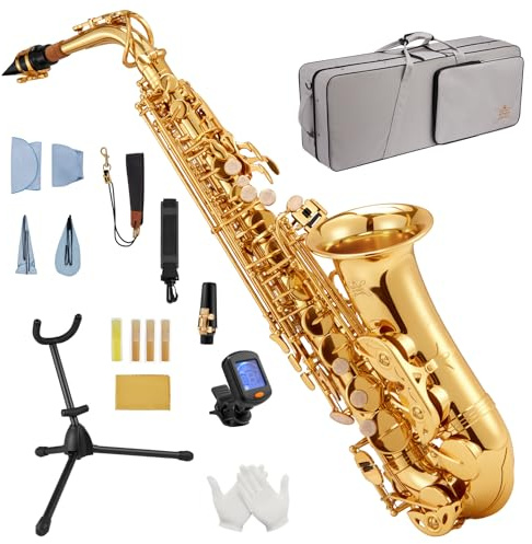 STRICH Kit de saxofón alto en Mi bemol para estudiantes principiantes, con correa para el cuello, boquilla y lengüetas, ideal para la banda del colegio y para practicar en casa, SAS-130G, dorado