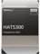 Synology HAT5300 SATA-HDD, 12 TB, 8,9 cm (3,5 Zoll), 7200 U/min, für 24/7 Umgebungen, HAT5300-12T, Silber, 12TB