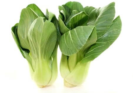 Just Seed Pak Choi - Green - 600 Seeds