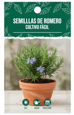 Romero Aromático para Jardín, Terraza o Maceta | Semillas Premium DECOALIVE