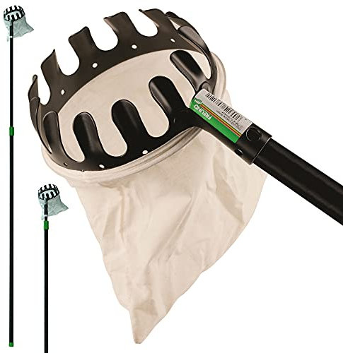 Agrarflora Premium Obstpflücker mit Teleskopstiel 165-300cm - Hochwertiger Apfelpflücker mit ausziehbarem Stiel - Birnenpflücker mit Baumwollbeutel - Kirschpflücker zum Obst Pflücken