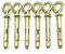 Ayiciel Expansions Ösenschrauben, M6 x 60 mm Ring Ankerbolzen Haken Wand Dehnschraube Deckenhaken Anker Ringschraube Schwerlastdübel Augen Schraube Bolzen (6 Stück)