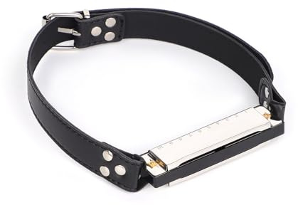 Kutocesy Divaricatore Di Bocca Con Armonica Bavaglio Regolabile BDSM Bavaglio A Sfera Per Bondage Bocca Bavaglio Schiavo Giocattoli Del Sesso Per Coppie Uomini (Silver)