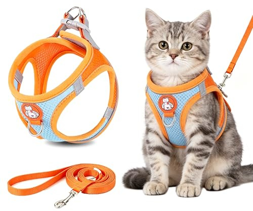 Hundsele små hundar anti-drag, justerbar bröstsele för små hundar och katter med koppel, andningsbart nät, reflekterande, utbrottssäker, valpsele (orange, M)