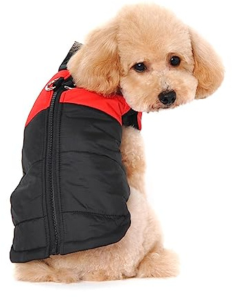Ectkuee Petit Manteau imperméable pour Chien Veste d'hiver rembourré matelassé Doudoune pour Chien Pet Chiot vêtements Assortis Tailles et Couleurs