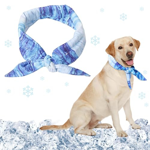 Collier de Refroidissement pour Chiens, Bandana Rafraîchissant pour Chiens, Écharpe Rafraîchissante pour Animaux De Compagnie, Respirant Bandana de Refroidissement Instantané pour Chiens de Petite