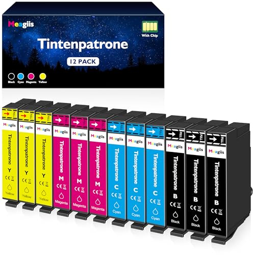 Meagiis Cartouches d'encre Compatible pour 603XL pour Epson XP-2105 XP-2150