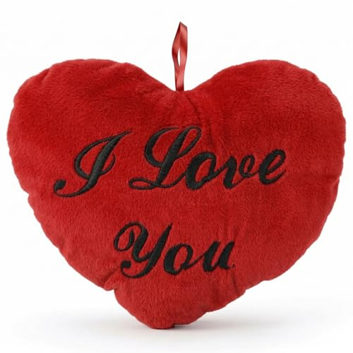 MIJOMA Cuscino a forma di cuore in peluche, morbido cuscino decorativo con ricamo romantico, morbido cuscino da divano, a forma di cuore, soffice e accogliente (I Love You, 35 cm)
