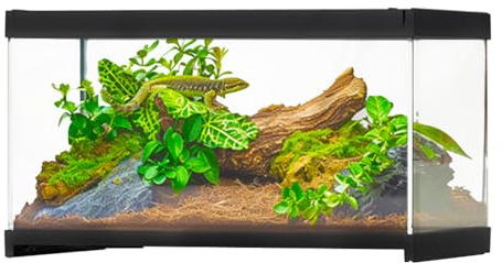Glas Terrarium Reptilien Fütterungsbox Transparent Transport Box für Schnecken Spinnen Gecko Hamster Schlangen Schildkröten, 30 x 20 x 17 cm