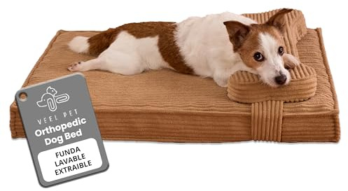VEEL PET Cuccia Ortopedica per Cani con Fodera Impermeabile Lavabile (SMALL)