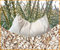 Coussin d'épeautre bio 40 x 60 cm avec coutil en 100 % coton biologique