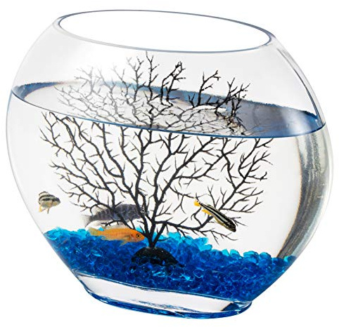 hygger Mini Glass Oblate Fish Bowl Kit, Small Fish Tank Comes with Blue Aquarium Decor Stones and Plastic Fan Branch Tree Ornament