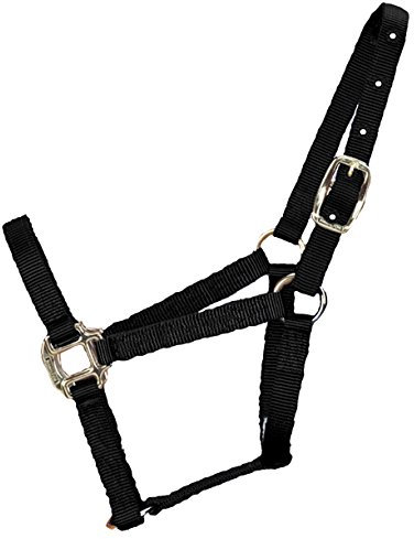 Hamilton Quality Horse Halter, 200-300 lbs, Black