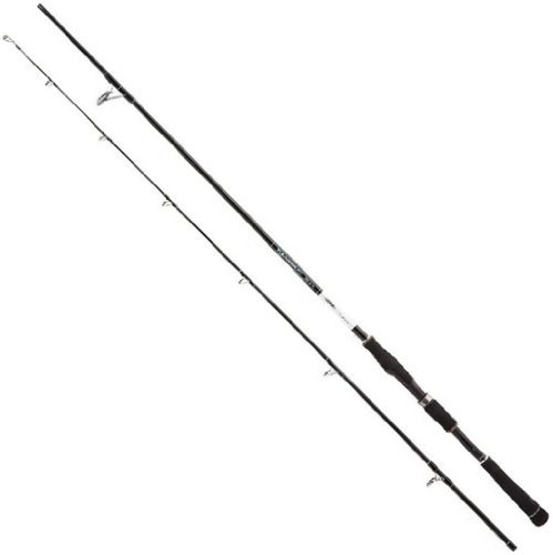 THUNDER Spin SPW 2,40m 25–70g / ein Temperamentvolles Leichtgewicht
