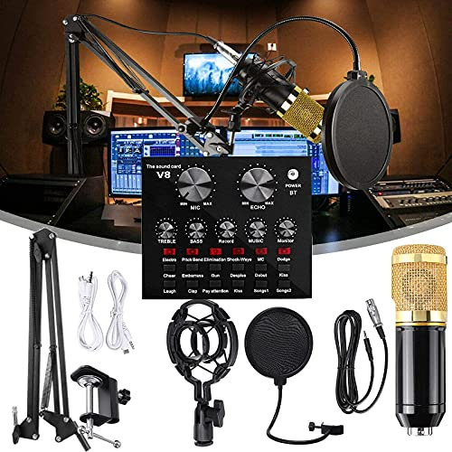 CVNIMV Ensemble de Microphones à condensateur, avec Carte Son BM-800 Live, Bras de Suspension en Ciseaux, Support Antichoc en métal et Filtre Anti-Pop Double Couche, pour enregi